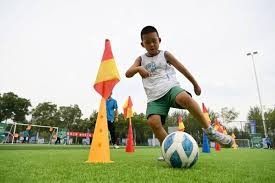 NBA战报：穆雷34分6助，掘金115-106击败黄蜂